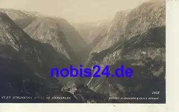 Stalheims NORWEGEN  *ca.1920