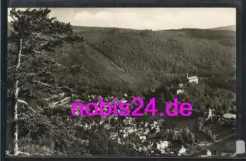 07427 Schwarzburg Trippsteinblick  *ca.1956