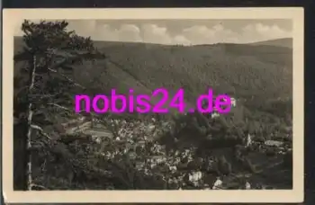 07427 Schwarzburg Thüringen *ca.1957