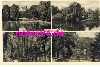 09648 Mittweida *ca.1950