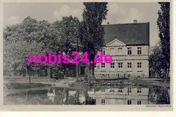 09661 Hainichen Gasthof Hainichen Schwäne *ca.1950