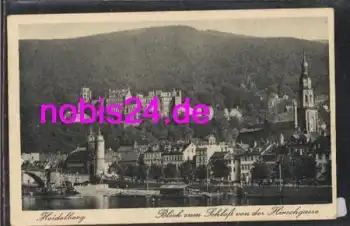 Heidelberg Totale mit Schloss *ca.1910