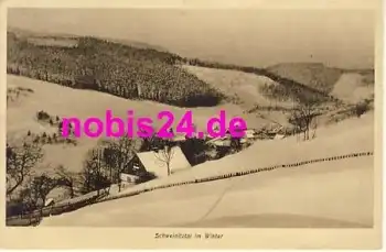 09548 Heidelberg Seiffen Winteransicht  *ca.1920