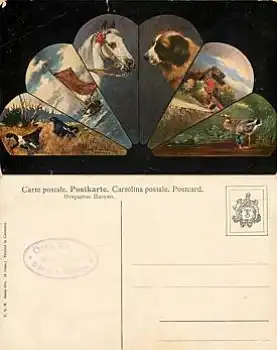 Fächerkarte Pferd Hund Ente Künstlerkarte *ca. 1910