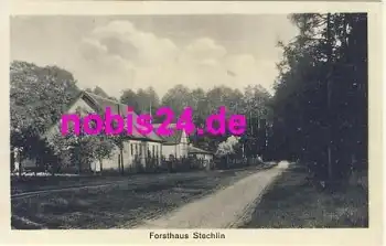 16775 Stechlin Strasse am Wald *ca.1950