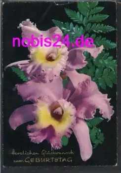 Orchideen Geburtstagskarte o ca.1971