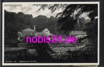 Münster Westfalen Botanischer Garten *ca.1940
