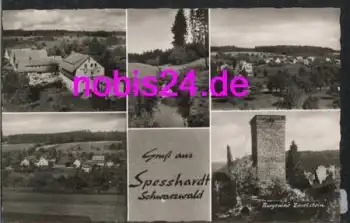 75365 Spesshardt  o 28.6.1965