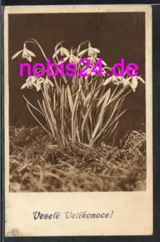 Schneeglöckchen  *ca.1930