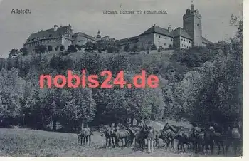 06542 Allstedt Schloss Pferde o 15.4.1911