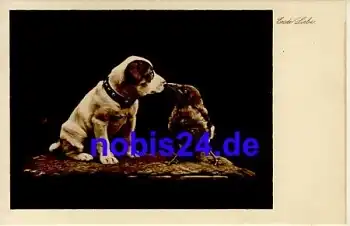 Hund und Rabe *ca.1940
