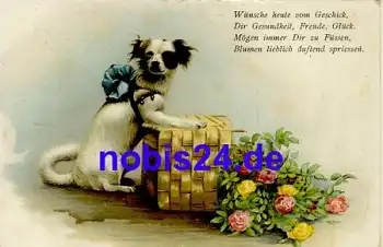 Japan Chin Hund mit Blumen o 1917