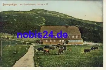 Spindlerbaude Riesengebirge *ca.1920
