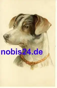 Jack Russell Terrier Künstlerkarte o ca.1915