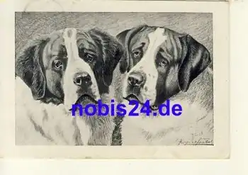 Bernhardiener Hund o 1909