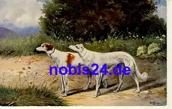 Jagdhunde Künstlerkarte * ca.1915