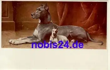 Dogge Hund "Mein grosser Freund" Künstlerkarte *ca.1910