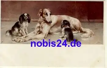 Windhund mit King Charles Spaniel "Mein grosser Freund" Künstlerkarte *ca.1910