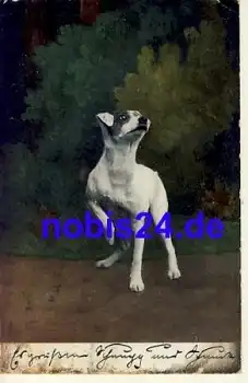 Boston Terrier Künstlerkarte o 1905