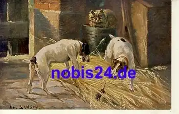 Hund Katze Maus Künstlerkarte *ca.1915