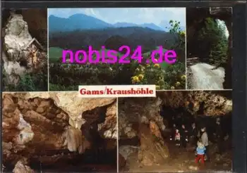 Gams bei Hiflau Kraushöhle o 12.5.1991