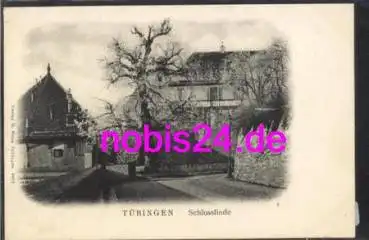 Tübingen An der Schlosslinde o 29.4.1907