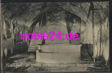 Tübingen Brunnen Schlosskeller o 20.11.1910