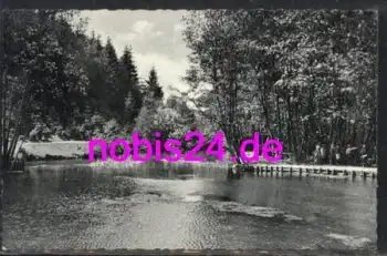 37434 Rhumspringe Südharz Quelle *ca.1930