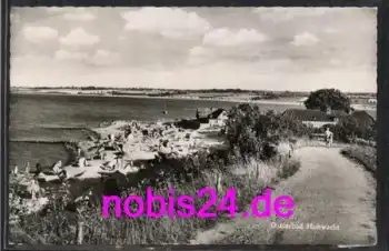24321 Hohwacht Ostseebad Strandleben *ca.1960
