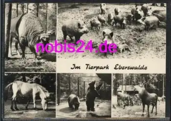 16200 Eberswalde Tierpark Tiere  *ca.1970