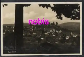 54550 Daun in der Eifel *ca.1920