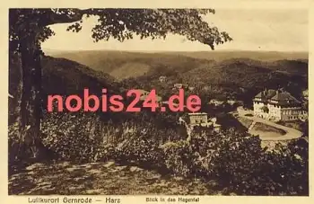 06507 Gernrode Harz Das Hagental *ca.1920