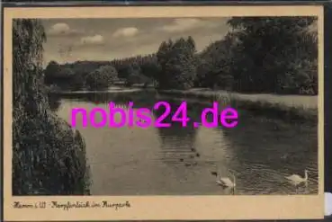 Hamm Karpfenteich Kurpark o 26.9.1957