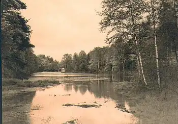 01738 Dorfhain Seerenteich  *1962 Hanich1414