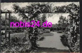 25421 Pinneberg Rosengarten *ca.1960