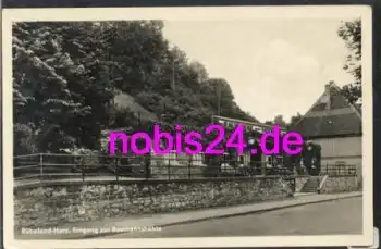 38889 Rübeland Harz Baumannshöhle *ca.1950