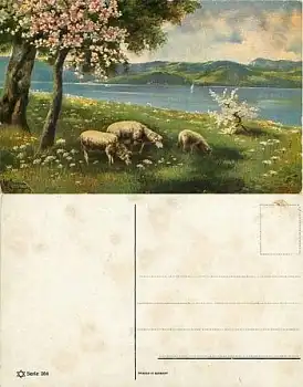 Schafe Künstlerkarte Serie 264 *ca. 1920