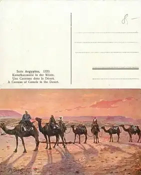 Kamelkarawane in Ägypten *ca. 1910