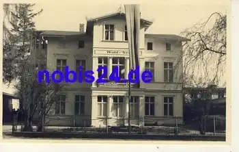 17429 Bansin Wald und Seehaus *ca.1950