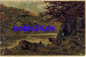 Hirschbrunft Künstlerkarte Mailick Nr.5259/9 *ca.1900