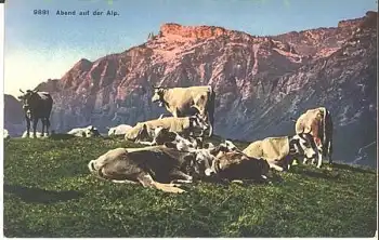 Kühe auf der Alp * ca. 1920