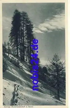 Davos Winterlandschaft  *ca.1930