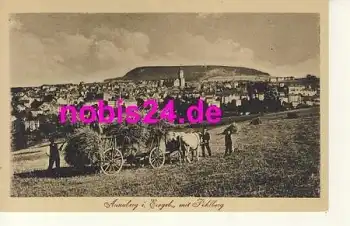 09456 Annaberg Ernteeinbringung am Pöhlberg *ca.1920
