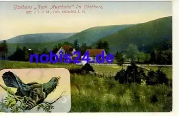 06536 Südharz Gasthof Auerhahn ca.1915