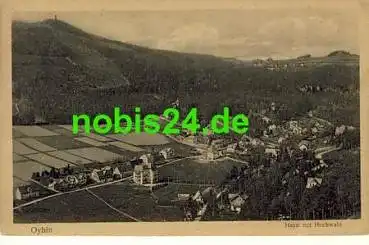 02797 Oybin Hayn mit Hochwald o 10.6.1919