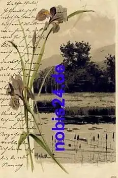 Landschaftsbild Künstlerkarte Mailick Nr. 4756  o 1902