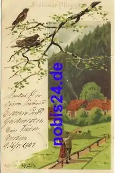 Pfingsten Künstlerkarte Mailick Nr.4582  Vögel o 1901