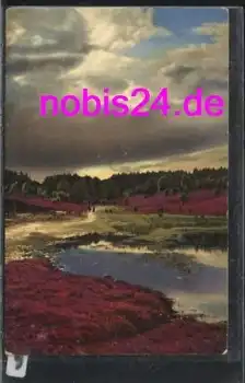 29614 Wilseder Berg Lüneburger Heide *ca.1920