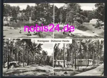 06901 Kemberg Königsee Dübener Heide o ca.1982