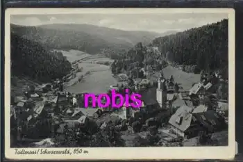 79674 Todtmoos Flugbild mit Kirche *ca.1930